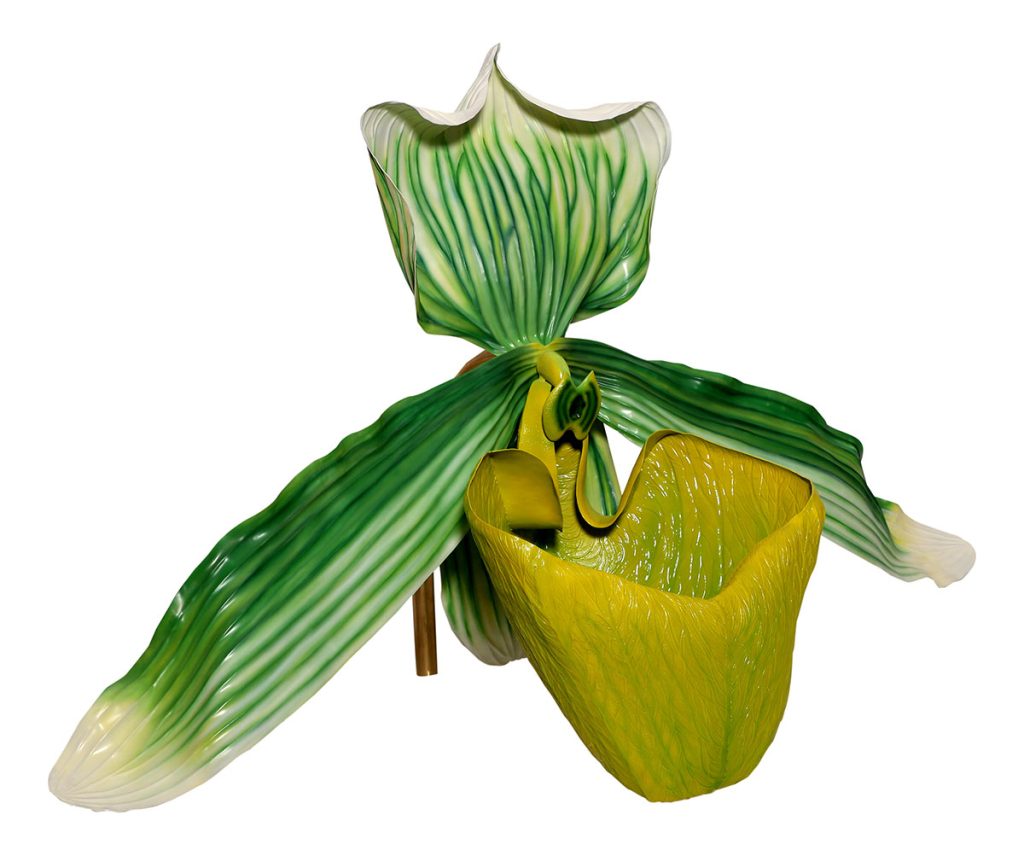 Lady's-slipper-orchid-Valay-Gada