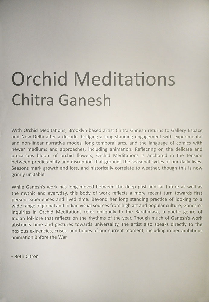 Installation shoot of Chitra Ganesh Show