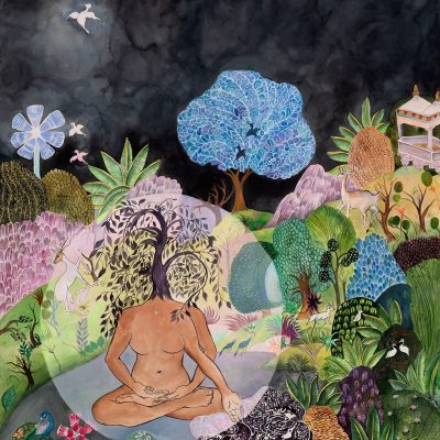 Orchid-Meditation-Chitra